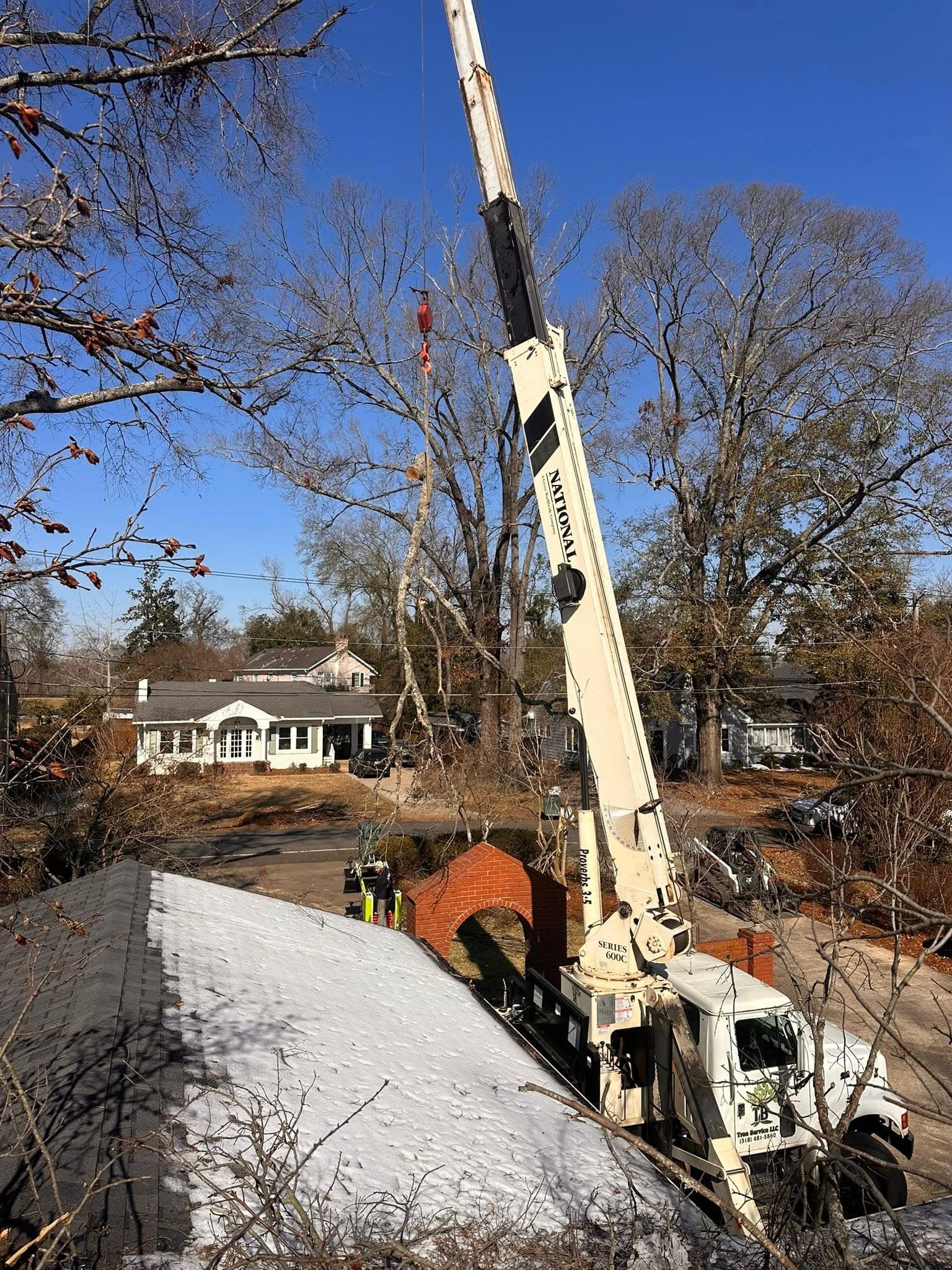 National Series crane truck set up for a residential tree removal