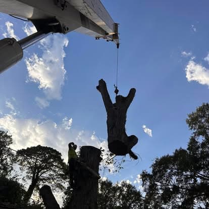 Crane lifting a trunk section during tree removal