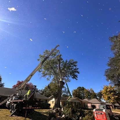 Crane removing a large tree in a residential neighborhood