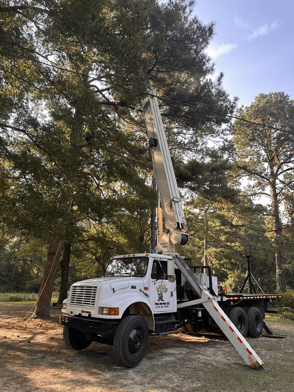 TB Tree Service crane truck positioned under a tree canopy for removal work