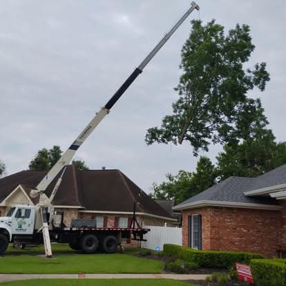 Extended crane boom in a residential neighborhood