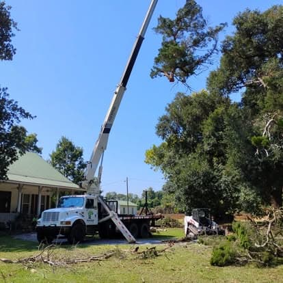Crane and skid steer on a job site during tree cleanup
