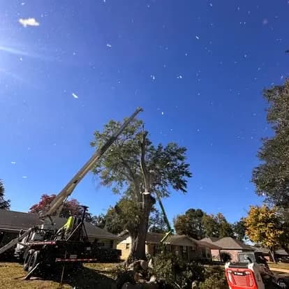 Crane removing a large tree in a residential neighborhood