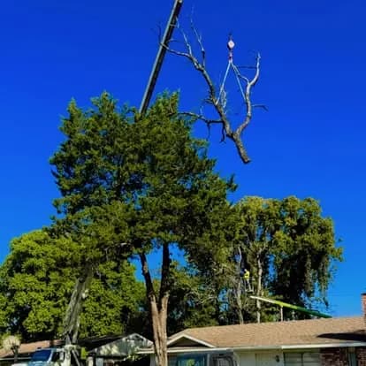 Crane lifting a large limb over a residential roofline