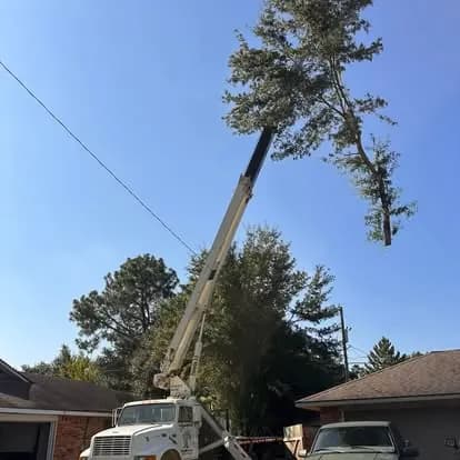 Crane lifting the top section of a tree during removal