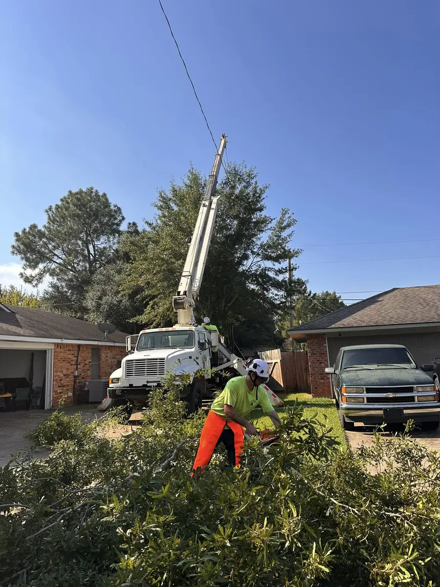 Crane lifting a trunk section during tree removal