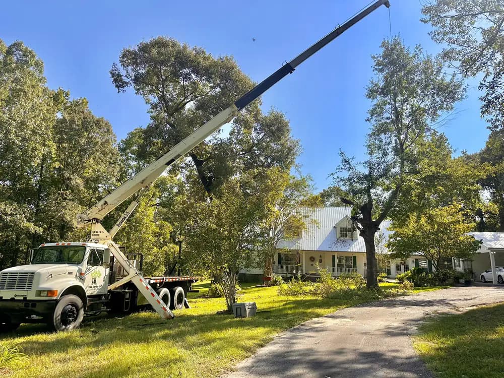 Crane setup on a rural property near a farmhouse