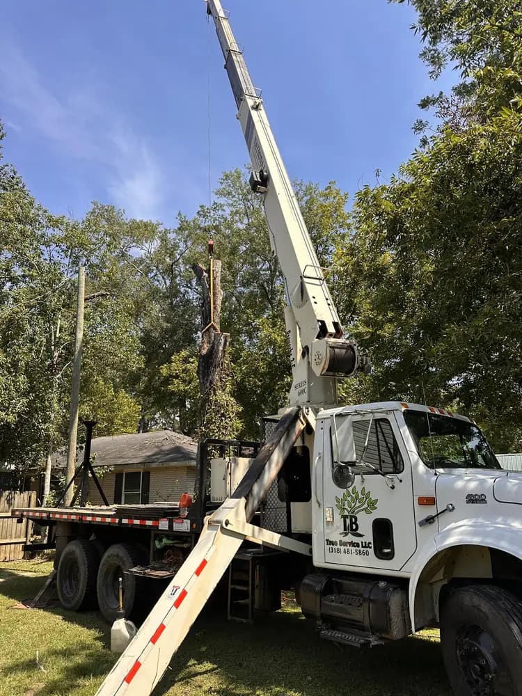 Crane lifting a stump section during removal